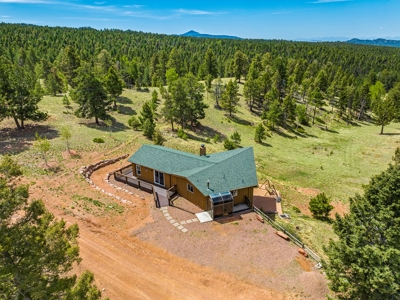 Colorado Cabin New Barn 39 Acres &  Borders Government Land - image 13