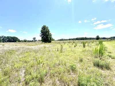 62.27 Ac W Commercial Building And Rv Hookup For $479,000.00 - image 3