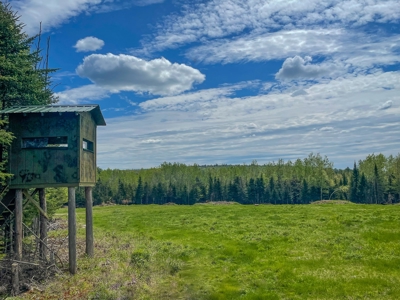 Mountain Lodge on 657±  Acres - image 18