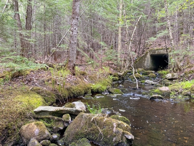 Mountain Lodge on 657±  Acres - image 19