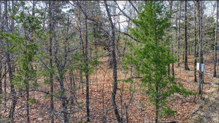 Ozark Mountain Property For Sale on Bull Shoals Lake - image 10