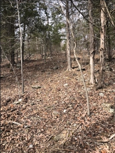 Ozark Mountain Property For Sale on Bull Shoals Lake - image 19