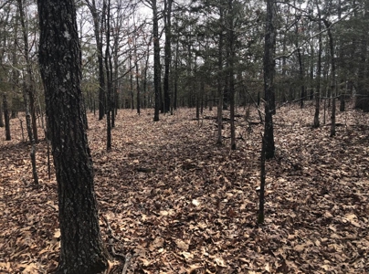 Ozark Mountain Property For Sale on Bull Shoals Lake - image 24