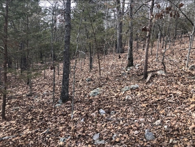 Ozark Mountain Property For Sale on Bull Shoals Lake - image 16