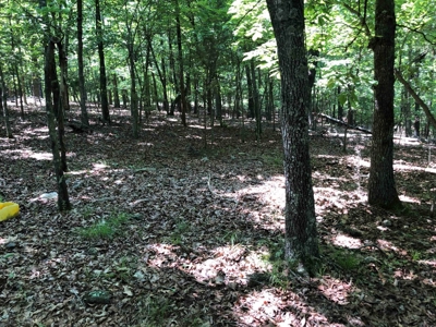 Ozark Mountain Property For Sale on Bull Shoals Lake - image 4