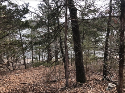 Ozark Mountain Property For Sale on Bull Shoals Lake - image 22