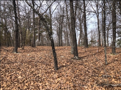Ozark Mountain Property For Sale on Bull Shoals Lake - image 18