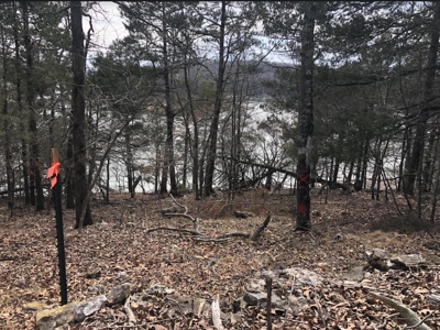 Ozark Mountain Property For Sale on Bull Shoals Lake - image 20
