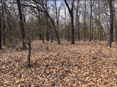 Ozark Mountain Property For Sale on Bull Shoals Lake - image 17