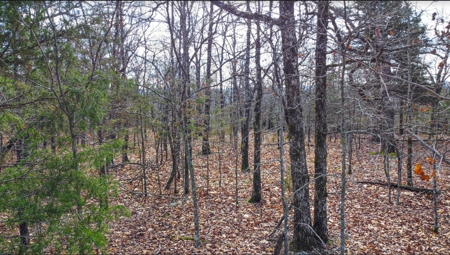 Ozark Mountain Property For Sale on Bull Shoals Lake - image 9