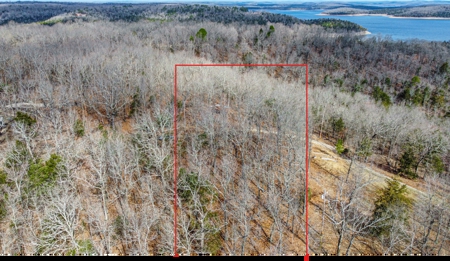 Ozark Mountain Property For Sale on Bull Shoals Lake - image 12