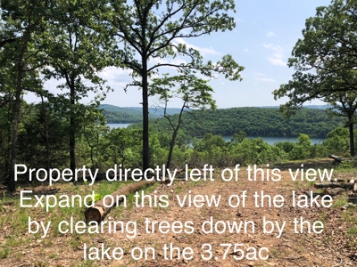 Ozark Mountain Property For Sale on Bull Shoals Lake - image 1