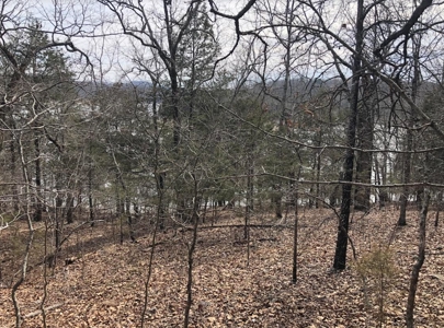 Ozark Mountain Property For Sale on Bull Shoals Lake - image 21