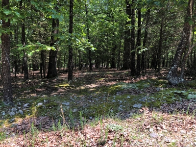 Ozark Mountain Property For Sale on Bull Shoals Lake - image 3