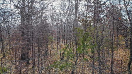Ozark Mountain Property For Sale on Bull Shoals Lake - image 11