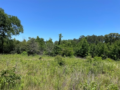 Cherokee County Lands For Sale - image 5