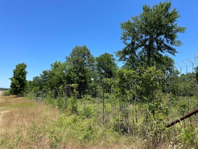 Cherokee County Lands For Sale - image 8