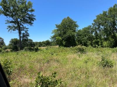 Cherokee County Lands For Sale - image 7