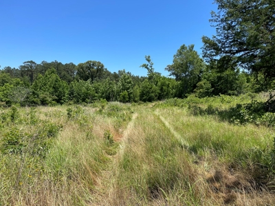Cherokee County Lands For Sale - image 10