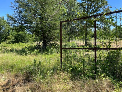 Cherokee County Lands For Sale - image 1
