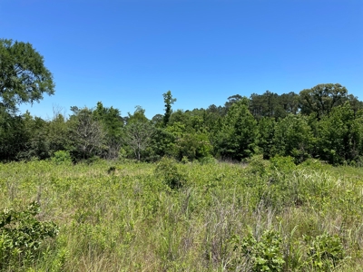 Cherokee County Lands For Sale - image 3