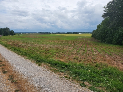 112.5 acres of farmland, can be developed near Franklin, Ky. - image 3