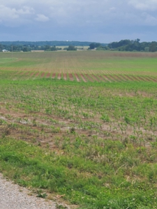 112.5 acres of farmland, can be developed near Franklin, Ky. - image 5