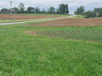112.5 acres of farmland, can be developed near Franklin, Ky. - image 6