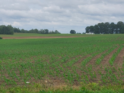 112.5 acres of farmland, can be developed near Franklin, Ky. - image 7