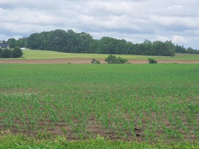112.5 acres of farmland, can be developed near Franklin, Ky. - image 1