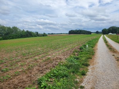 112.5 acres of farmland, can be developed near Franklin, Ky. - image 4