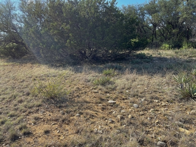 Kings Point Cove Resort Residential Lot at Lake Brownwood TX - image 36