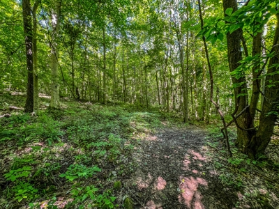 Lawrence County Indiana Land and Country Home for Sale - image 49