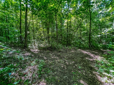 Lawrence County Indiana Land and Country Home for Sale - image 46