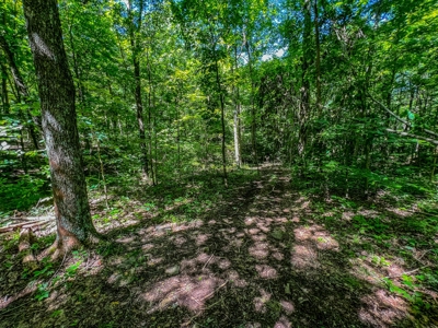 Lawrence County Indiana Land and Country Home for Sale - image 47