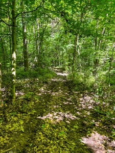 Lawrence County Indiana Land and Country Home for Sale - image 50