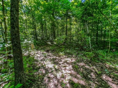 Lawrence County Indiana Land and Country Home for Sale - image 48