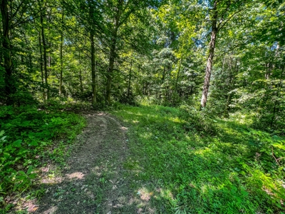 Lawrence County Indiana Land and Country Home for Sale - image 45