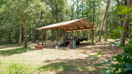 River Lovers Paradise! Bell Florida! - image 7