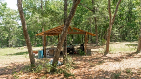 River Lovers Paradise! Bell Florida! - image 8