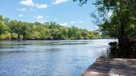 River Lovers Paradise! Bell Florida! - image 12