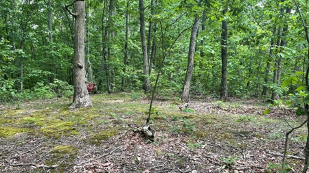 Ross County Ohio Land for Sale - image 18