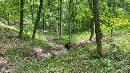 Ross County Ohio Land for Sale - image 14