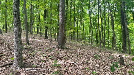 Ross County Ohio Land for Sale - image 7