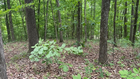 Ross County Ohio Land for Sale - image 26