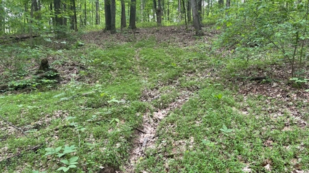 Ross County Ohio Land for Sale - image 30