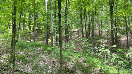 Ross County Ohio Land for Sale - image 15