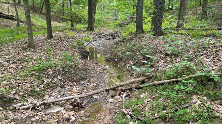 Ross County Ohio Land for Sale - image 31