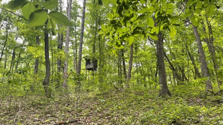 Ross County Ohio Land for Sale - image 21