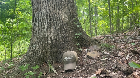 Ross County Ohio Land for Sale - image 6